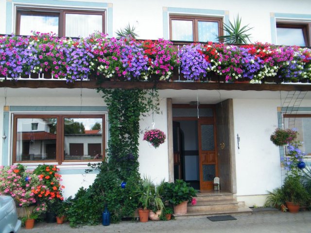 pfitzmayer005