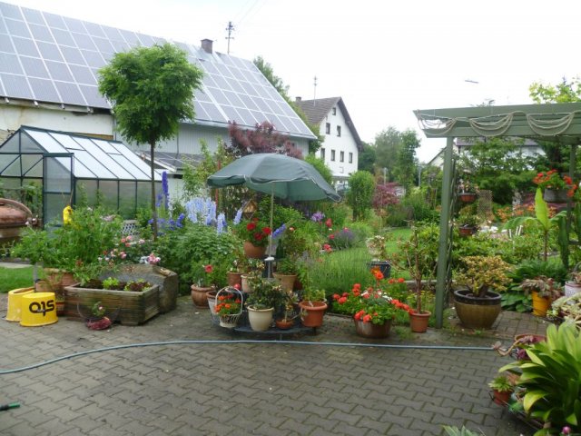 robl039